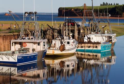 Boats in water at dock